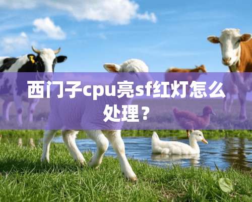 西门子cpu亮sf红灯怎么处理？