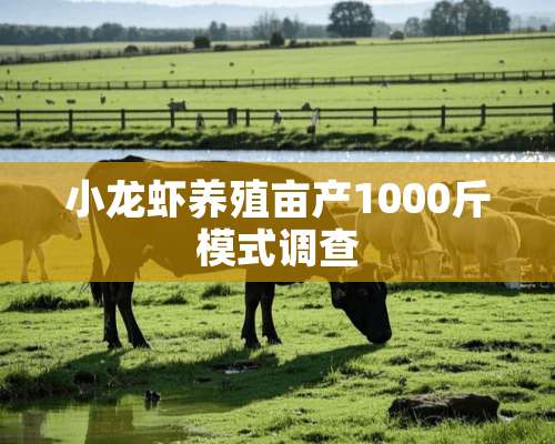 小龙虾养殖亩产1000斤模式调查