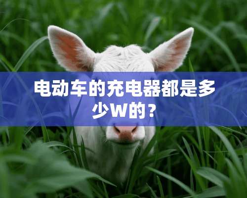 电动车的充电器都是多少W的？