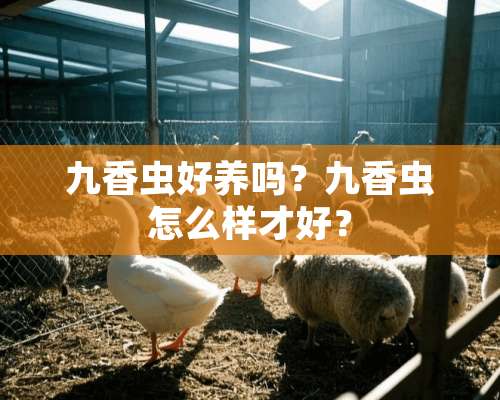 九香虫好养吗？九香虫怎么样才好？