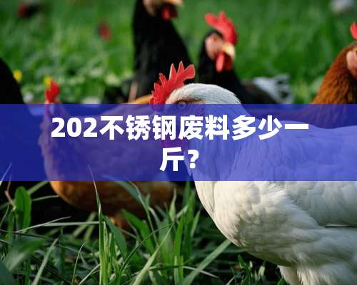 202不锈钢废料多少一斤？