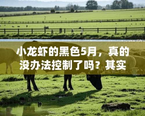 小龙虾的黑色5月，真的没办法控制了吗？其实黑色5月也是有&quot;神药&quot;的！