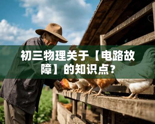 初三物理关于【电路故障】的知识点？