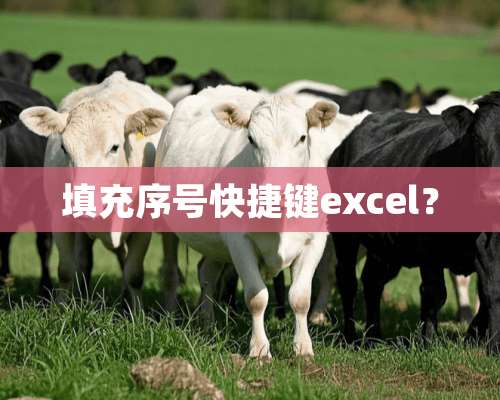 填充序号快捷键excel？