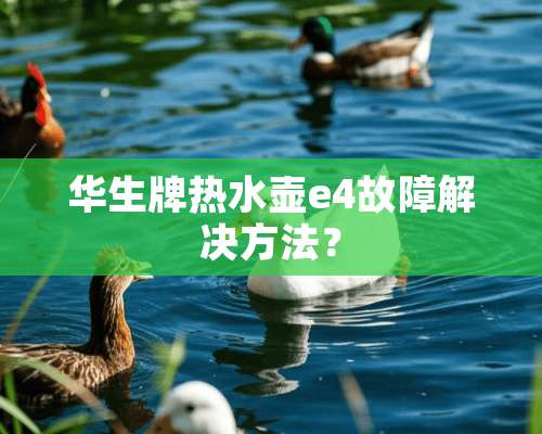 华生牌热水壶e4故障解决方法？