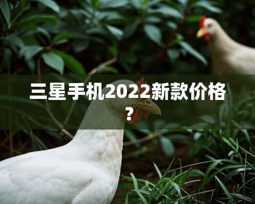 三星手机2022新款价格？