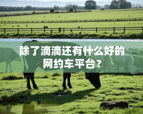 除了滴滴还有什么好的网约车平台？