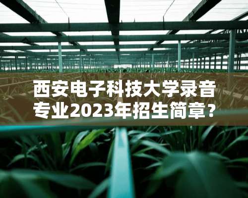 西安电子科技大学录音专业2023年招生简章？