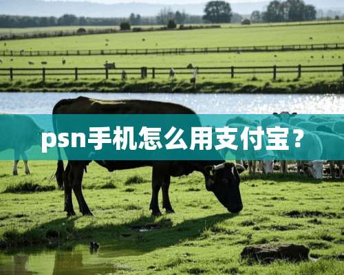 psn手机怎么用支付宝？