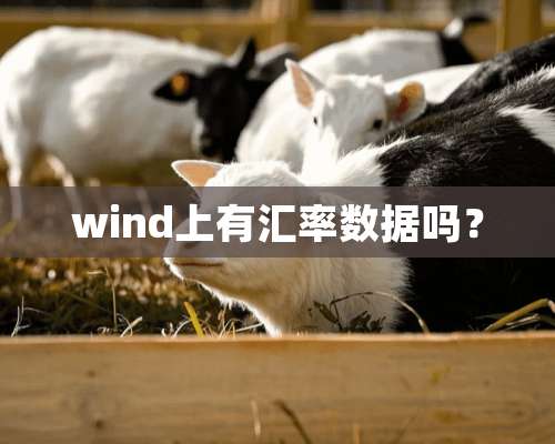 wind上有汇率数据吗？