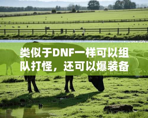 类似于DNF一样可以组队打怪，还可以爆装备的手机网游是什么？