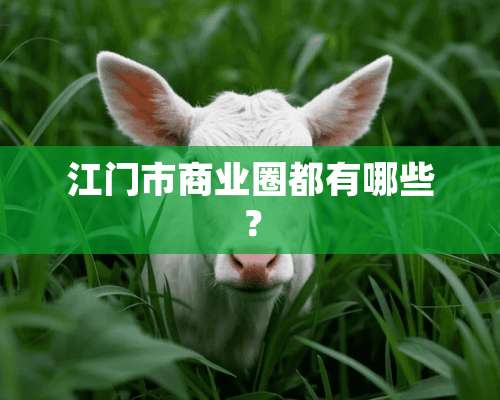 江门市商业圈都有哪些？