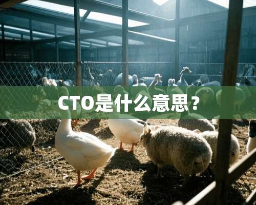 CTO是什么意思？