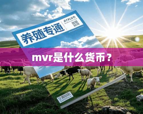 mvr是什么货币？