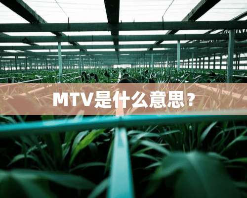 MTV是什么意思？