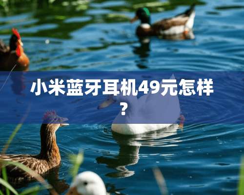 小米蓝牙耳机49元怎样？