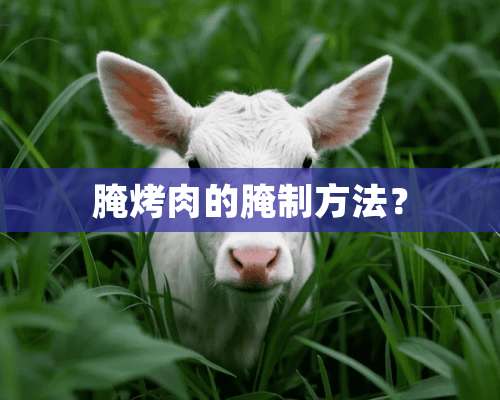 腌烤肉的腌制方法？