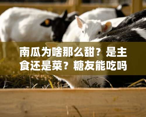 南瓜为啥那么甜？是主食还是菜？糖友能吃吗？南瓜\"五大\"常见疑问？