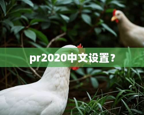 pr2020中文设置？