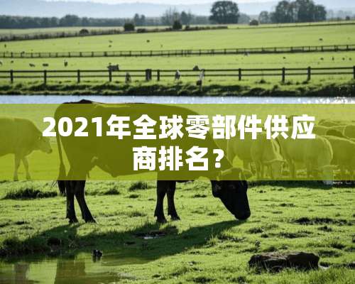 2021年全球零部件供应商排名？