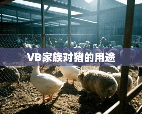 VB家族对猪的用途