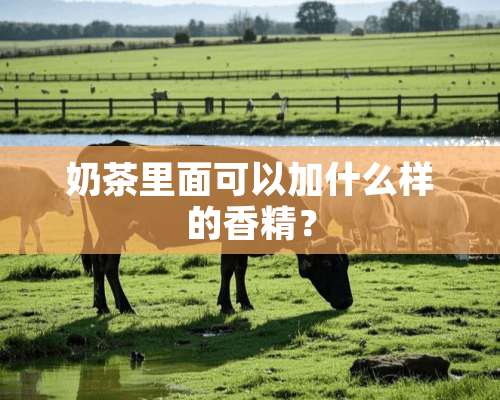 奶茶里面可以加什么样的香精？