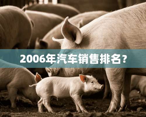 2006年汽车销售排名？