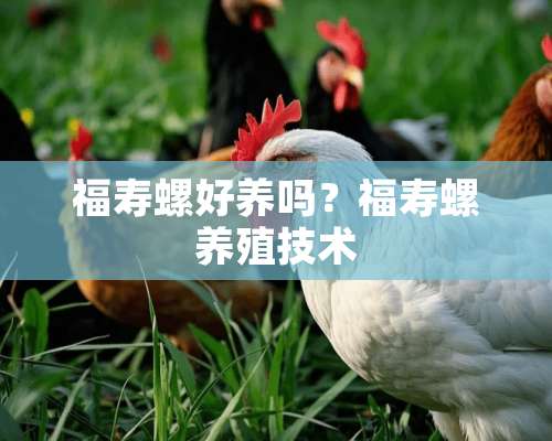 福寿螺好养吗？福寿螺养殖技术