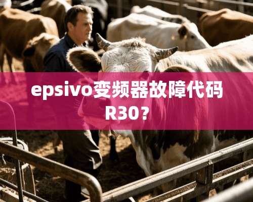 epsivo变频器故障代码R30？