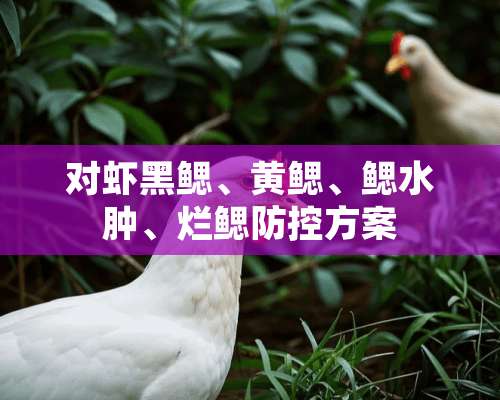 对虾黑鳃、黄鳃、鳃水肿、烂鳃防控方案