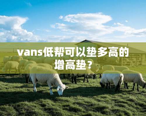 vans低帮可以垫多高的增高垫？