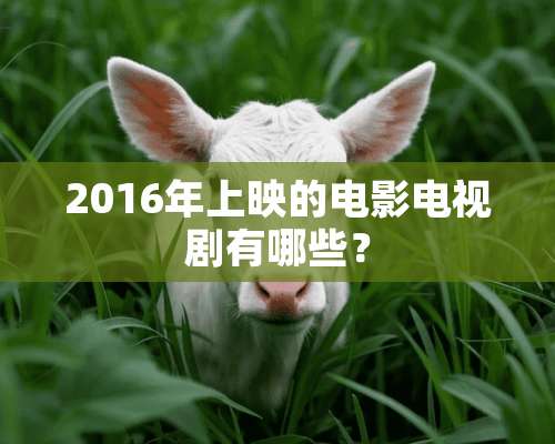 2016年上映的电影电视剧有哪些？