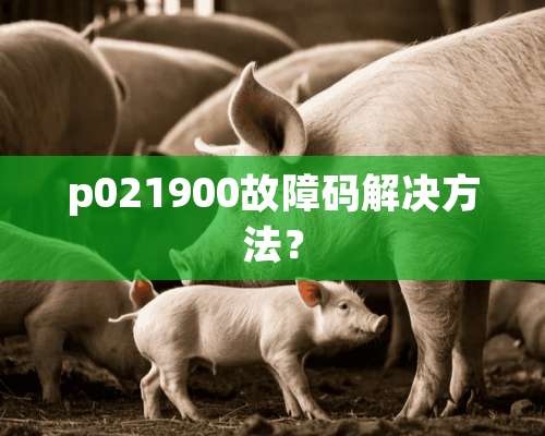 p021900故障码解决方法？