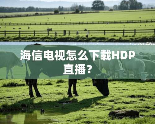 海信电视怎么下载HDP直播？