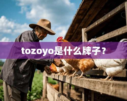 tozoyo是什么牌子？