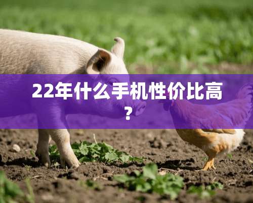 22年什么手机性价比高？