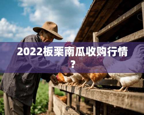 2022板栗南瓜收购行情？