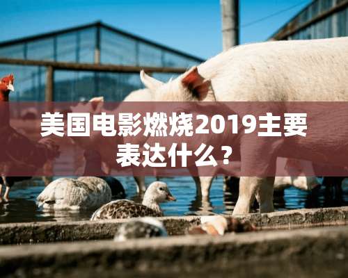 美国电影燃烧2019主要表达什么？