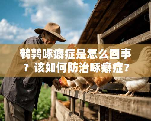 鹌鹑啄癖症是怎么回事？该如何防治啄癖症？