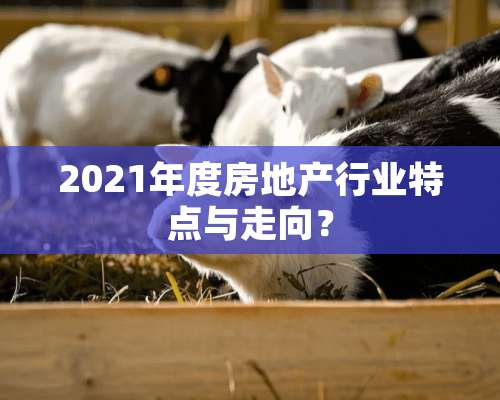 2021年度房地产行业特点与走向？