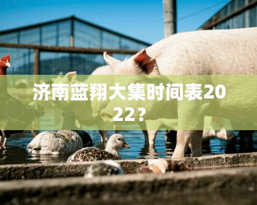 济南蓝翔大集时间表2022？