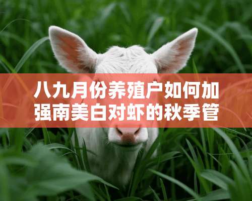 八九月份养殖户如何加强南美白对虾的秋季管理