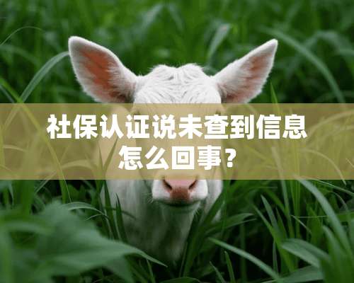 社保认证说未查到信息怎么回事？