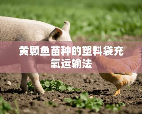 黄颡鱼苗种的塑料袋充氧运输法