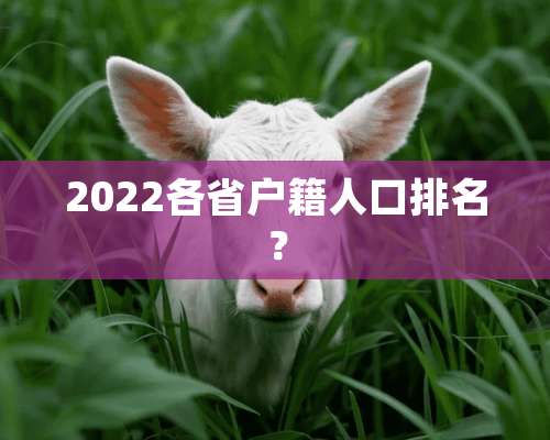 2022各省户籍人口排名？