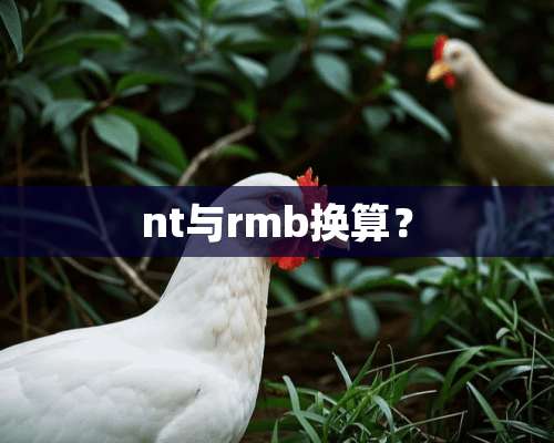 nt与rmb换算？