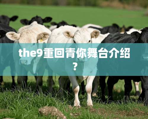 the9重回青你舞台介绍？