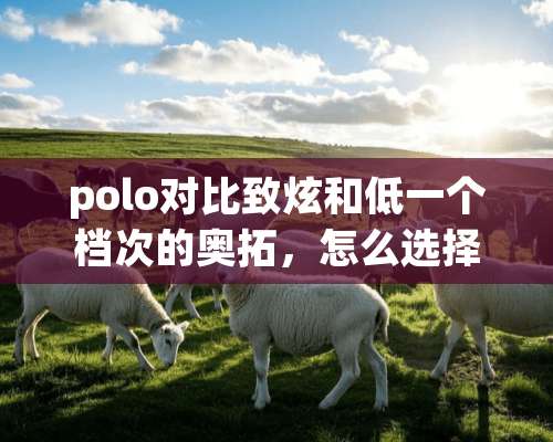 polo对比致炫和低一个档次的奥拓，怎么选择？