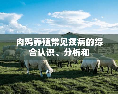 肉鸡养殖常见疾病的综合认识、分析和