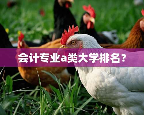 会计专业a类大学排名？